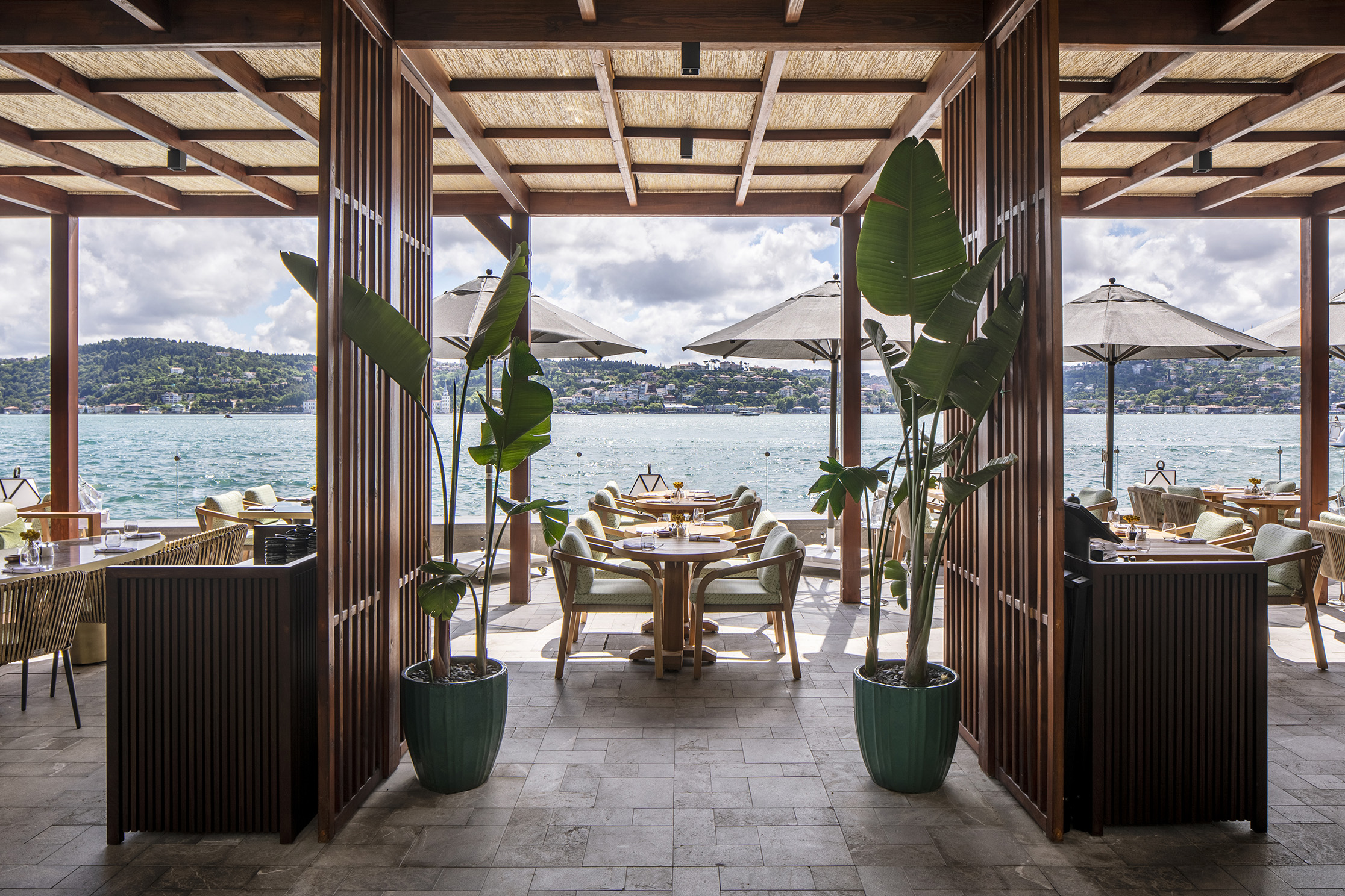 OLEA THE BAR